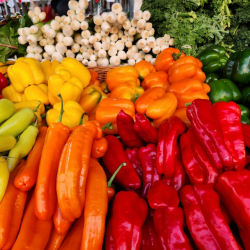 Delray Winter GreenMarket