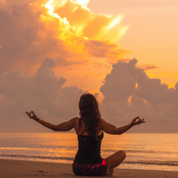 The Seagate Wellness Series