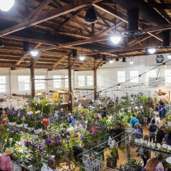2025 Delray Beach Orchid Society