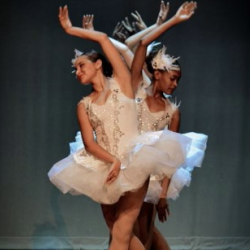 Fall in Love with Plumosa