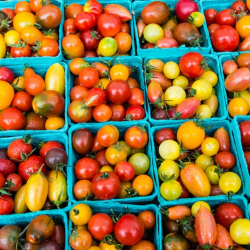 Delray Winter GreenMarket RETURNS