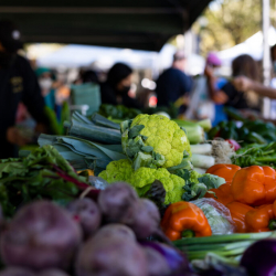 Night Market at Old School Square Amphitheatre