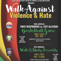 Walk Against Violence & Hate