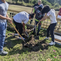 Pocket Refuge Planting & Mini BioBlitz
