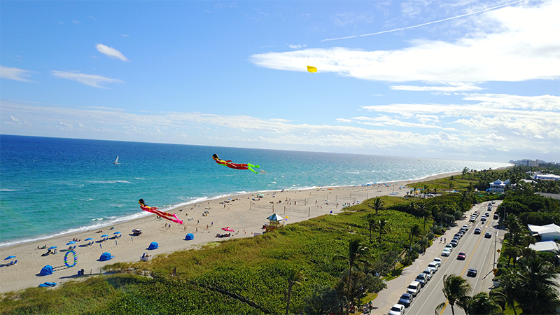 The open beach with kites flying